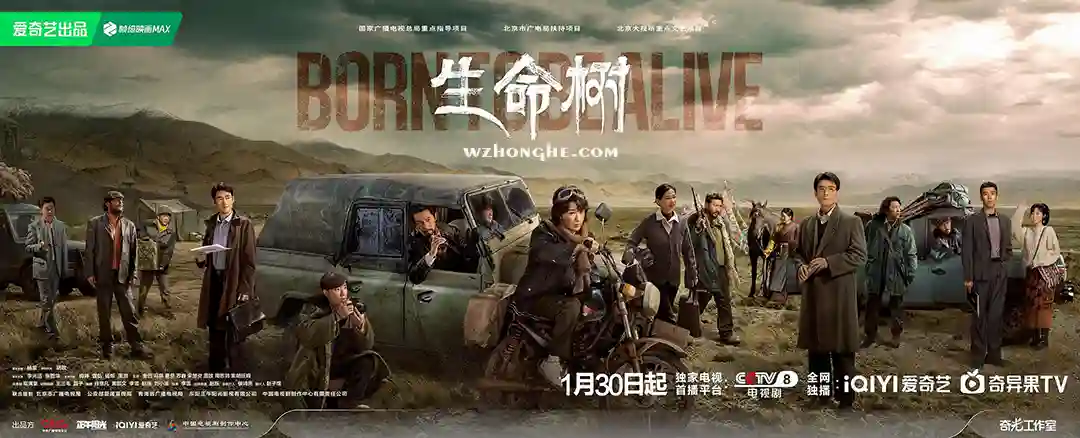 生命树 - 无中和wzhonghe.com -2